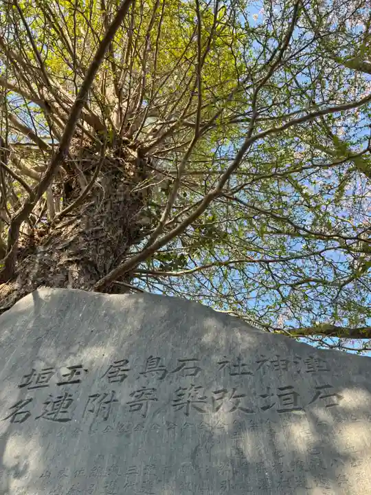 津神社(茨城県)