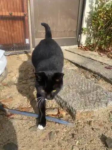 岡部春日神社～👹鬼門よけの🌺花咲く🌺やしろ～(福島県)