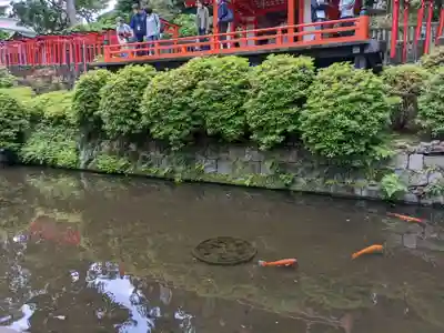 根津神社(東京都)
