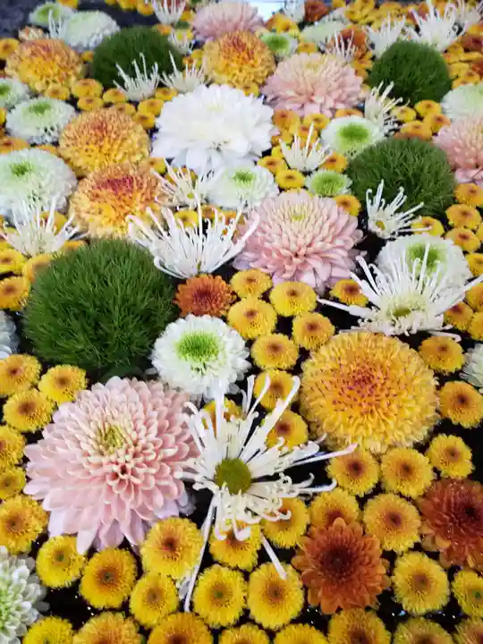 高円寺氷川神社(東京都)