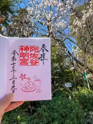 阿佐ヶ谷神明宮(東京都)