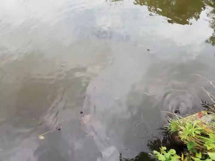 瀧泉寺(目黒不動尊)の庭園