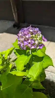 尊陽院(京都府)