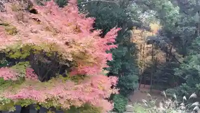 近江神宮(滋賀県)