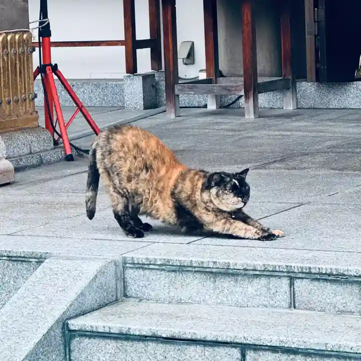 榮稲荷神社(福井県)