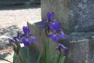 源福寺(滋賀県)