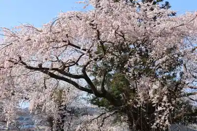 諏訪神社の景色