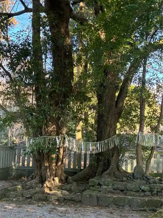 山宮浅間神社(静岡県)