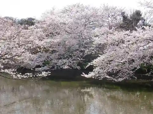 鶴岡八幡宮の庭園