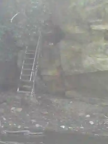 願成寺のその他建物