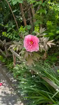 和光寺(大阪府)