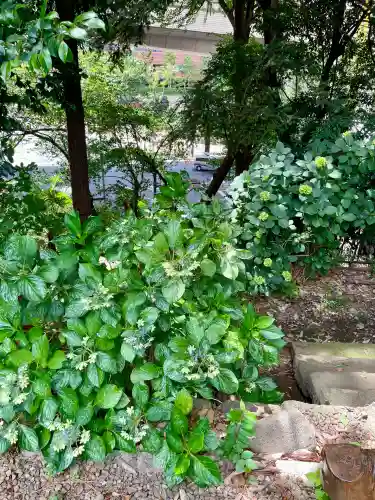 目黒富士浅間神社(東京都)