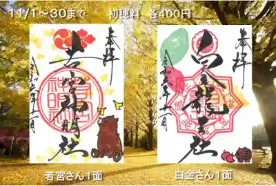 若宮さん、白金さん１面です。

