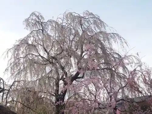 常泉寺(神奈川県)