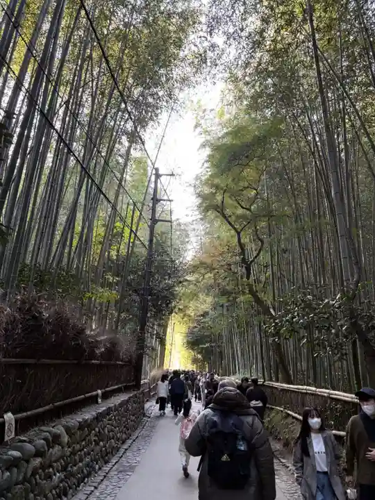 野宮神社(京都府)