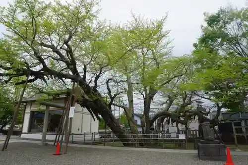 豊受神社の庭園