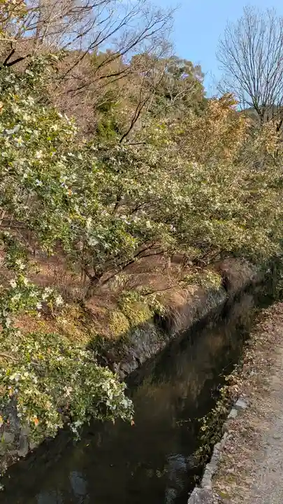 大豊神社(京都府)
