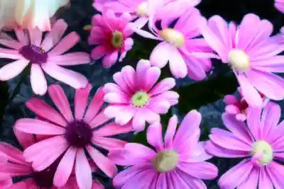 三津厳島神社の手水舎