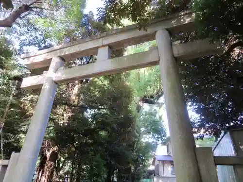 渋谷氷川神社の鳥居