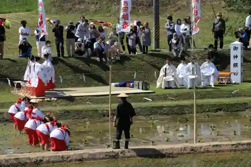 高屋敷稲荷神社のお祭り