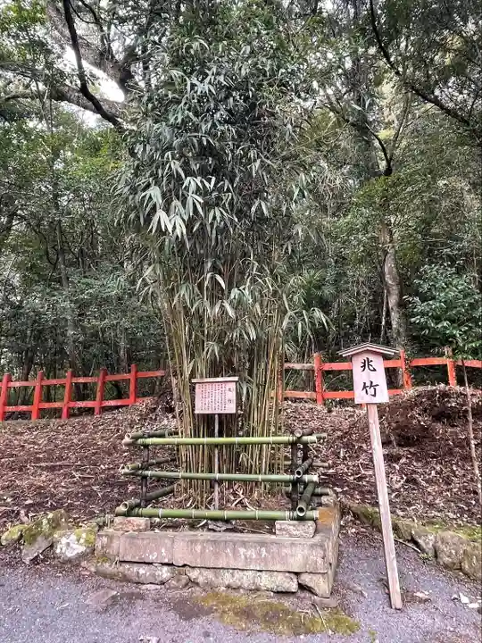 宇佐神宮の庭園