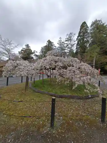 大原野神社の御朱印