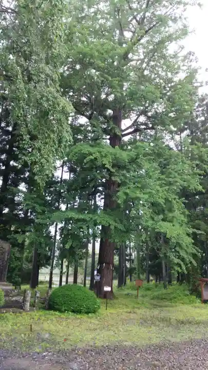 秋保神社の自然