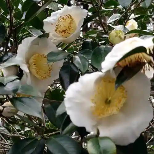 二兒神社(福岡県)