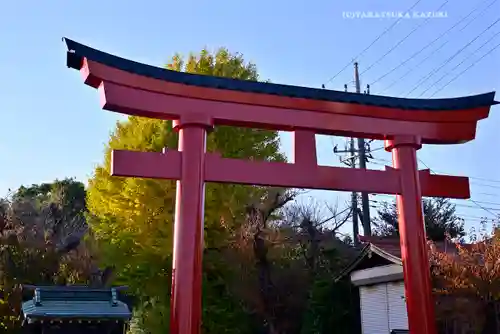 鷲宮神社の鳥居