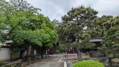 本法寺(京都府)