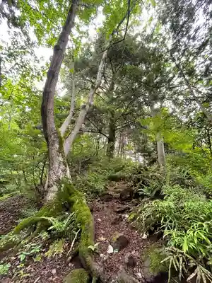 護国観音（大渕寺）(埼玉県)