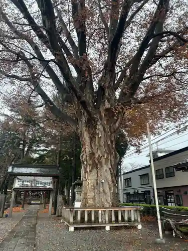 住吉神社(岩手県)
