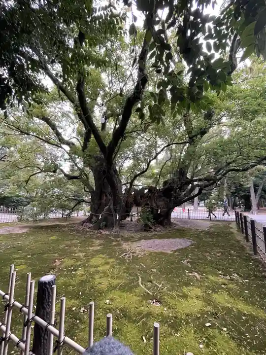 浜松八幡宮(静岡県)
