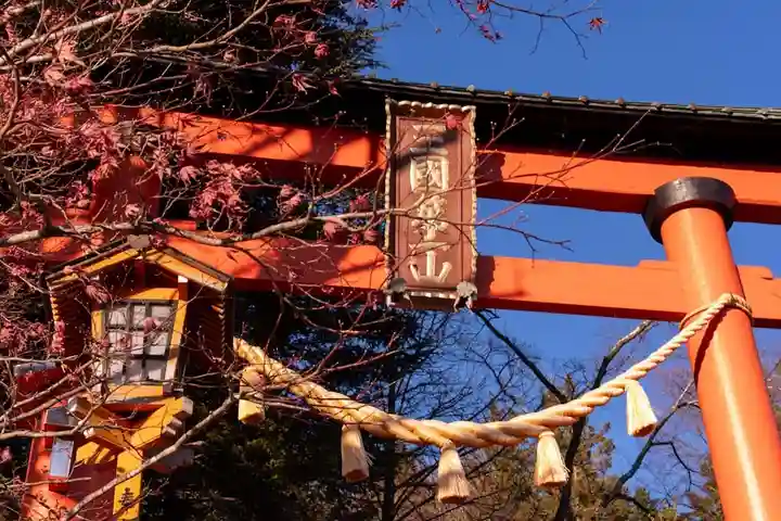 新倉富士浅間神社(山梨県)