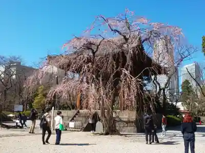 増上寺のその他建物
