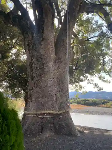 田殿丹生神社(和歌山県)