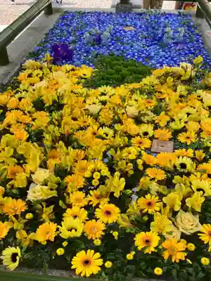 住吉神社の手水舎