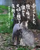 専念寺(大阪府)