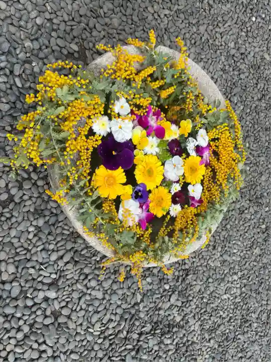菅生神社(愛知県)