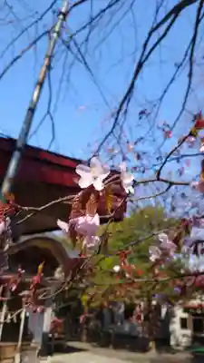 相馬神社(北海道)