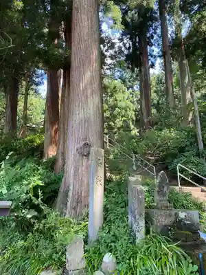大前神社(新潟県)