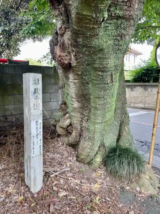 寳光院(栃木県)