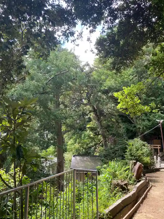 熊野神社(杉田・中原)の自然