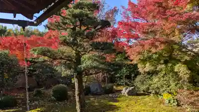 天得院(京都府)