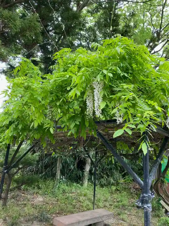 上合寺(福島県)