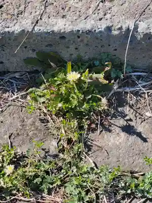 浅間神社(福居町)(栃木県)