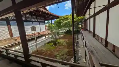 大覚寺(京都府)