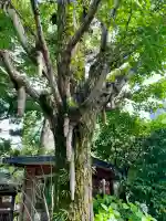 大吉稲荷(東京都)