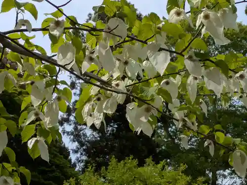 大願寺(奈良県)