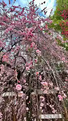 屯倉神社(大阪府)